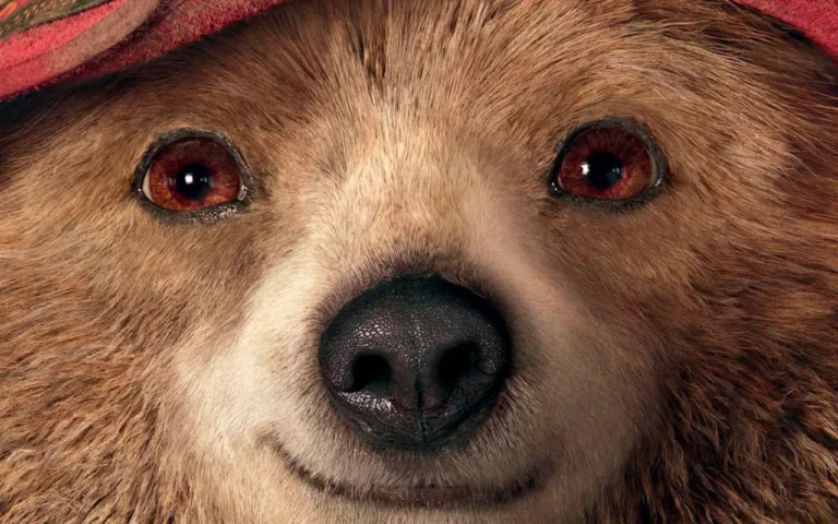 Primer plano de Paddington